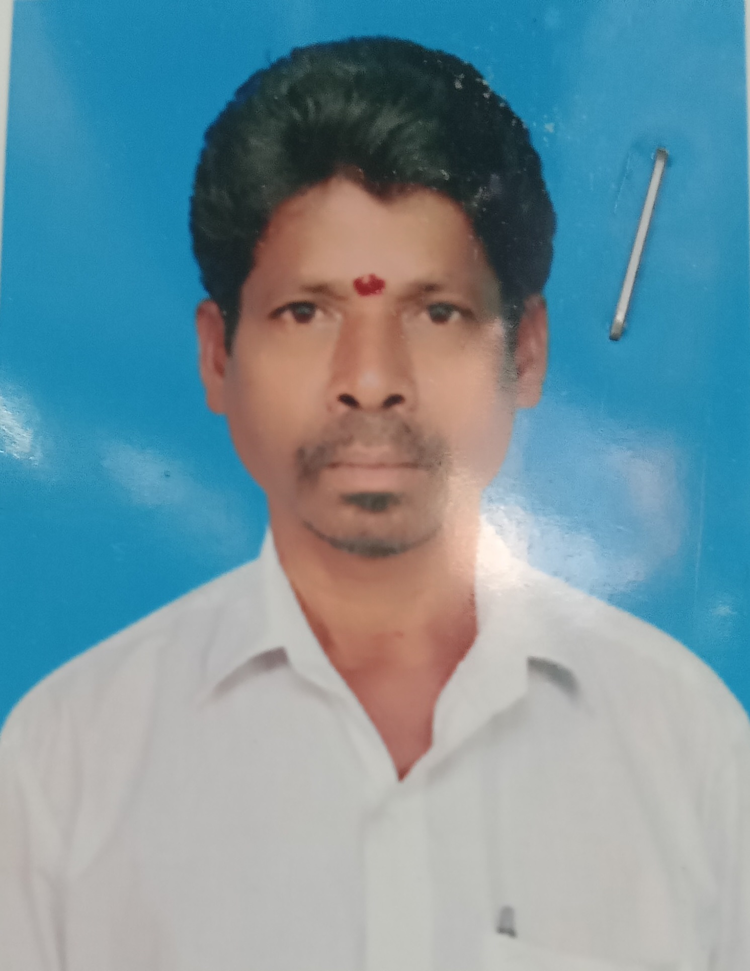 Trader Photo