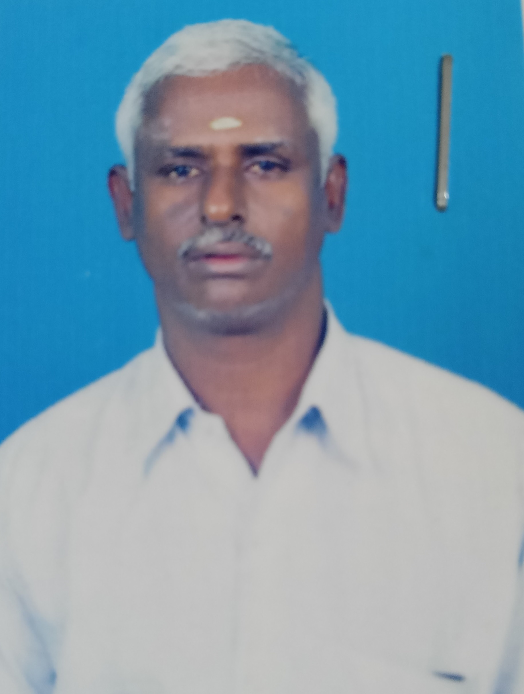 Trader Photo