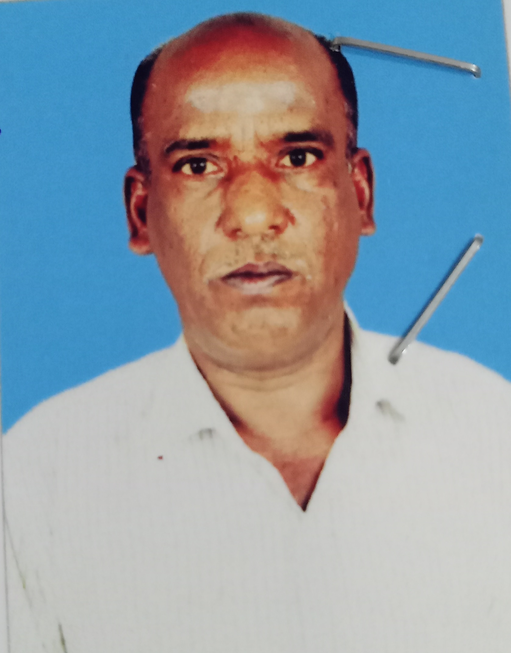 Trader Photo