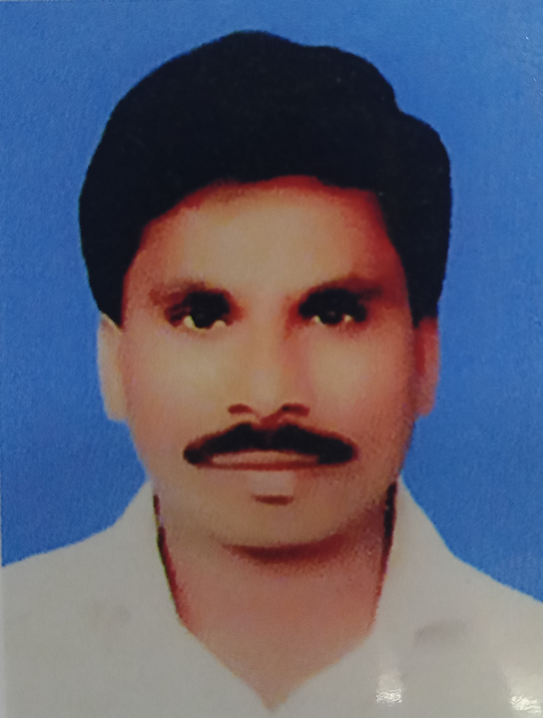 Trader Photo