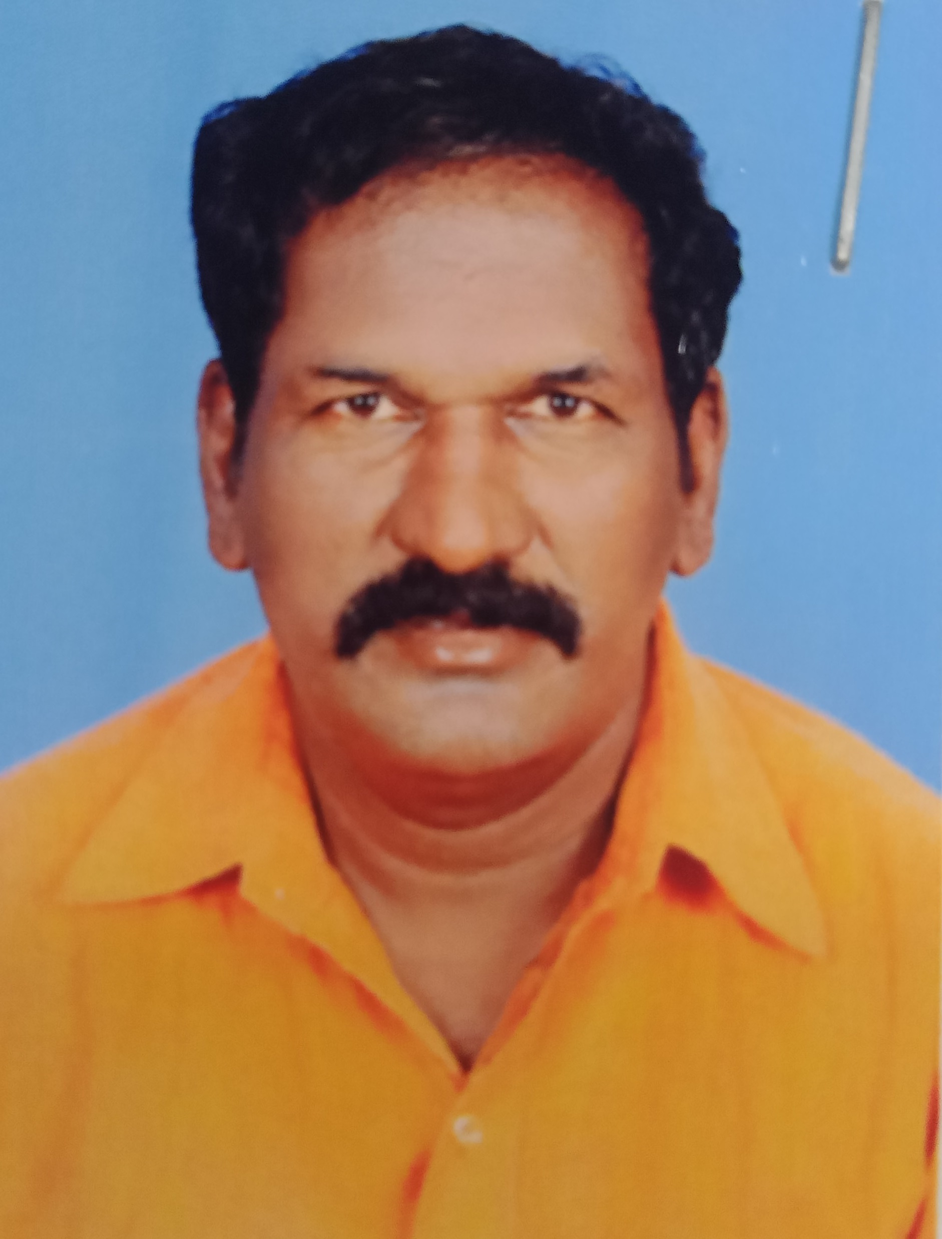 Trader Photo