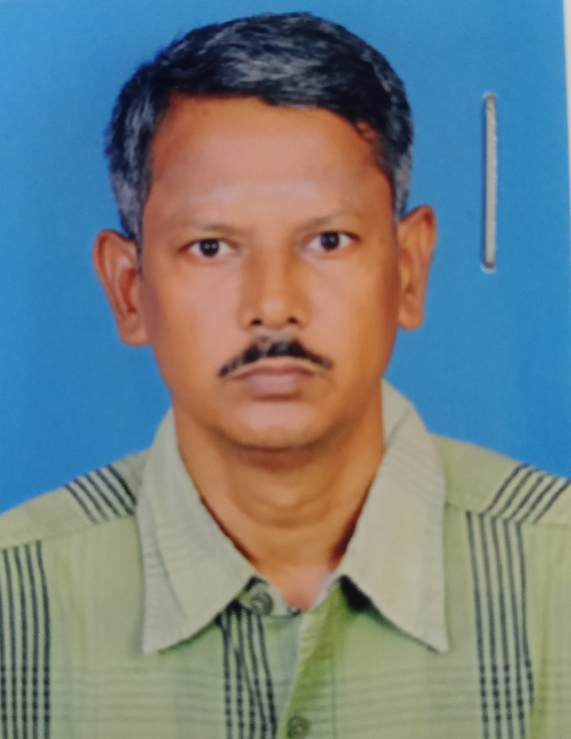 Trader Photo