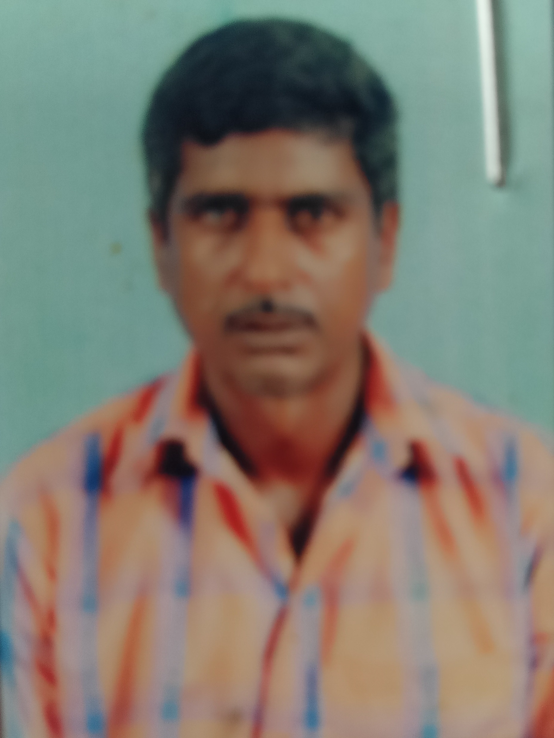 Trader Photo
