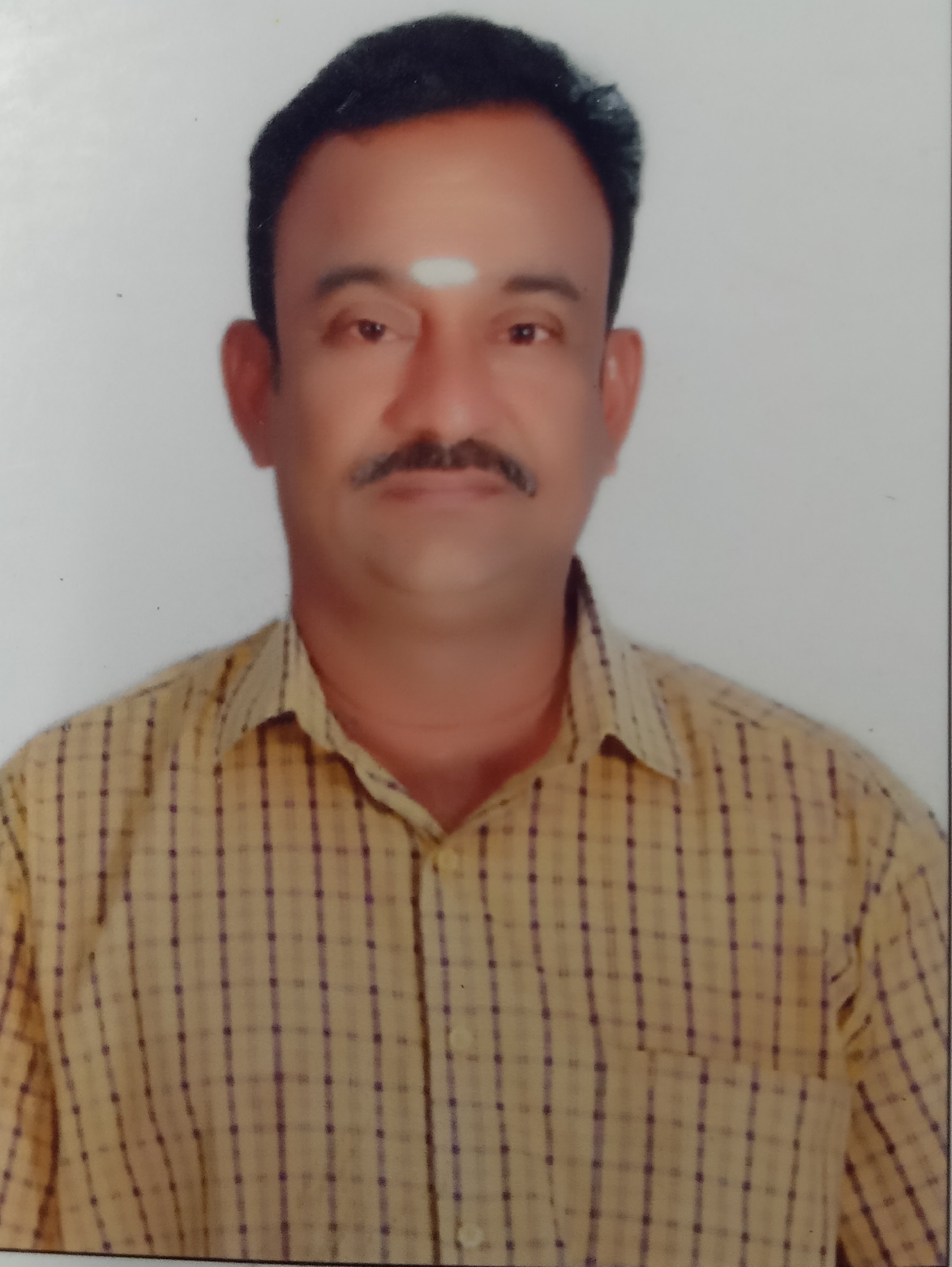 Trader Photo
