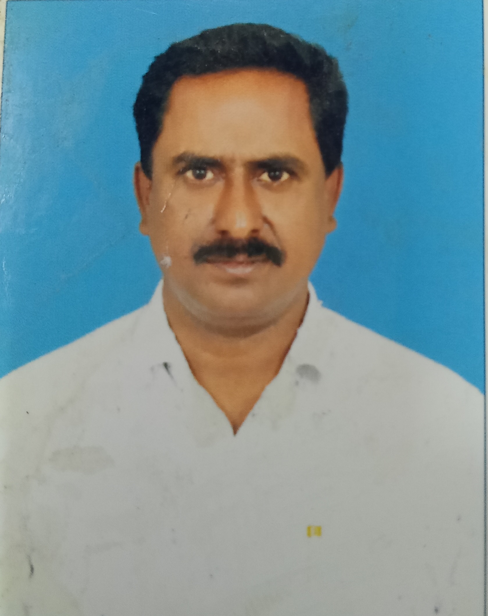 Trader Photo