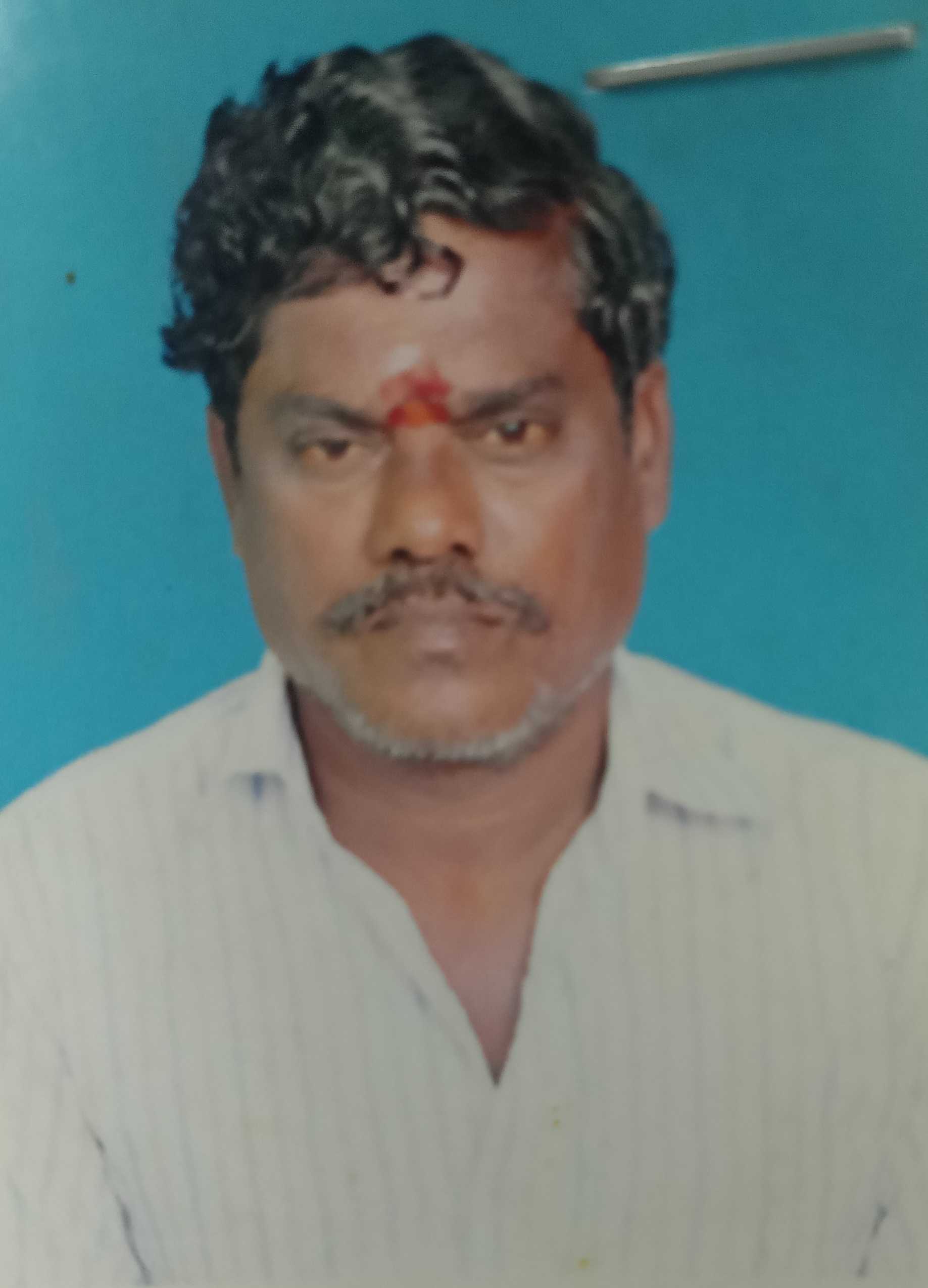 Trader Photo