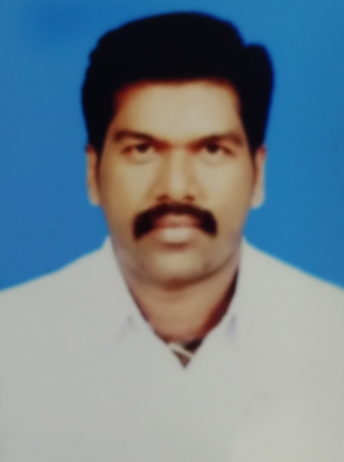 Trader Photo