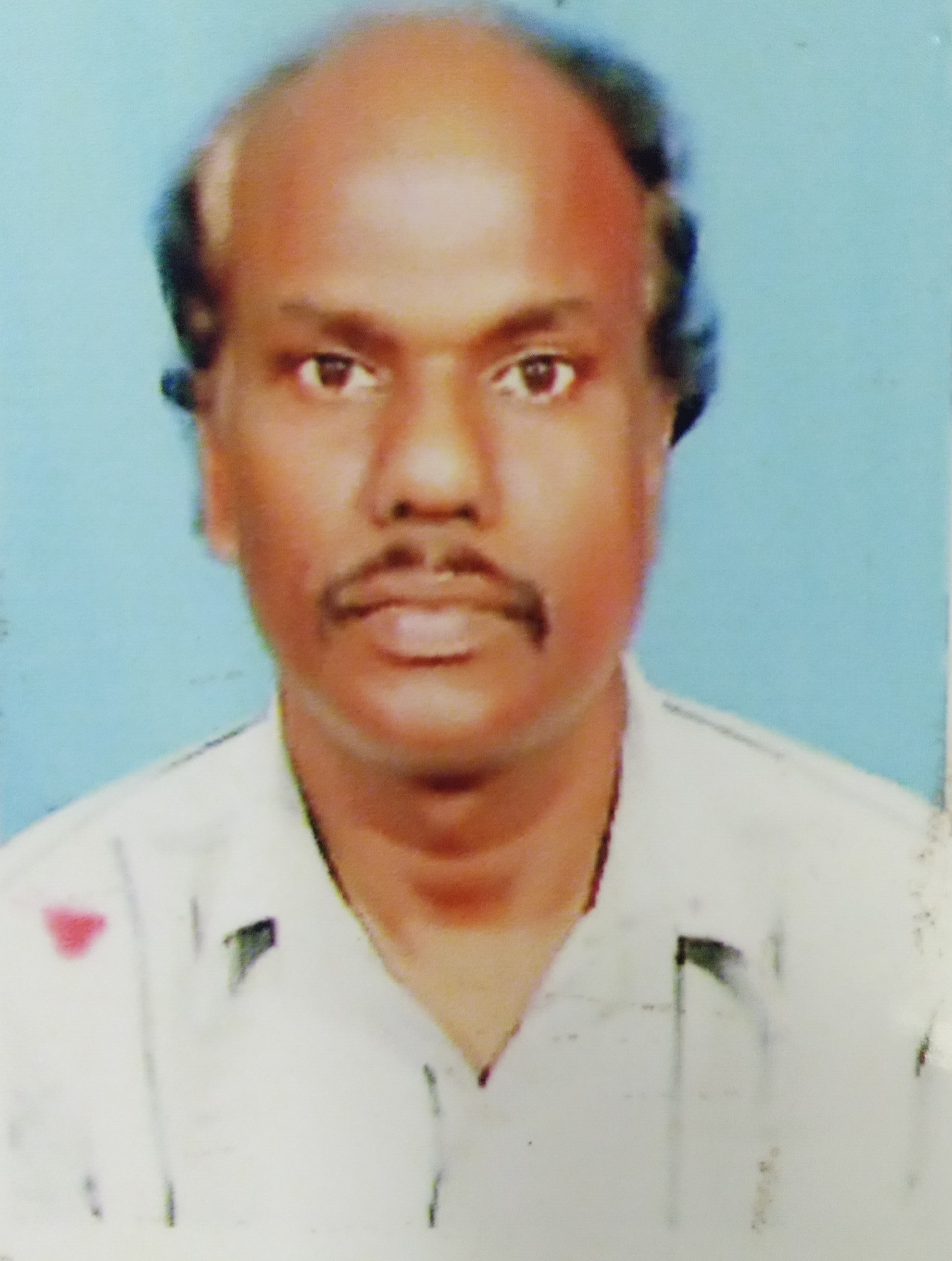 Trader Photo