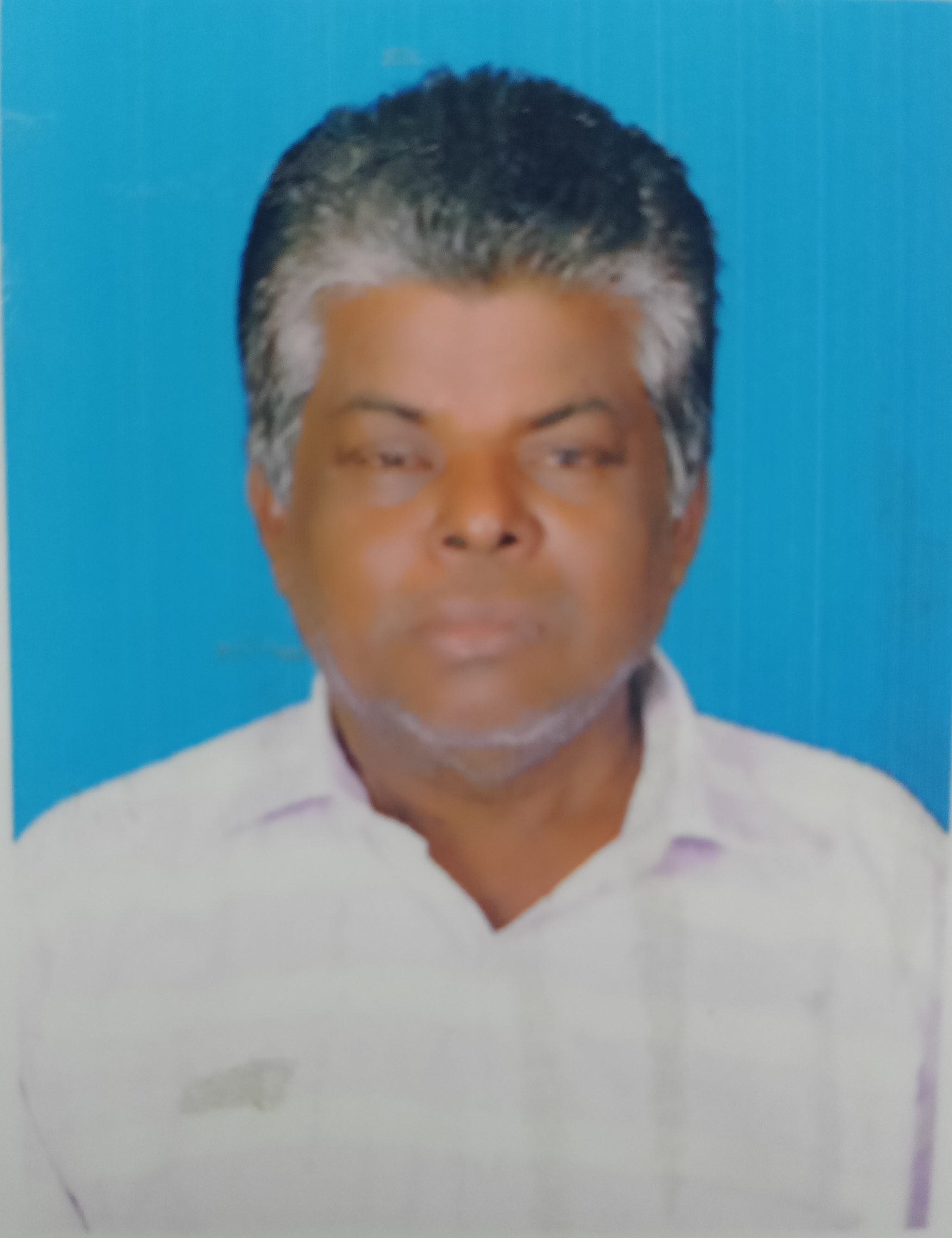 Trader Photo