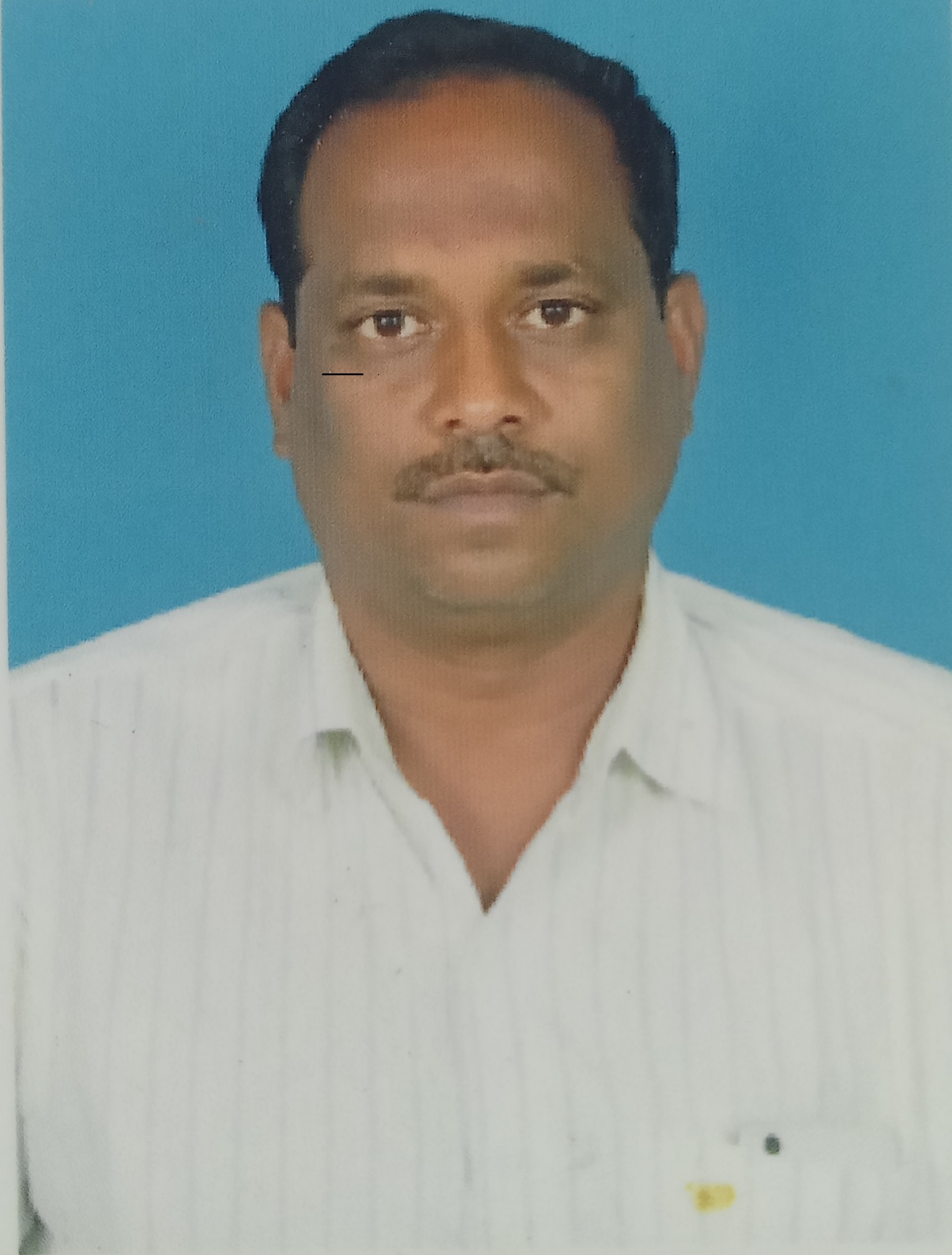 Trader Photo