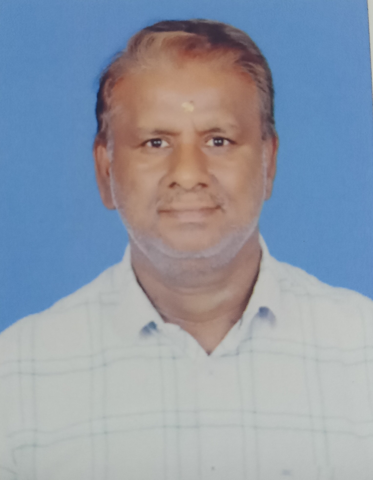 Trader Photo