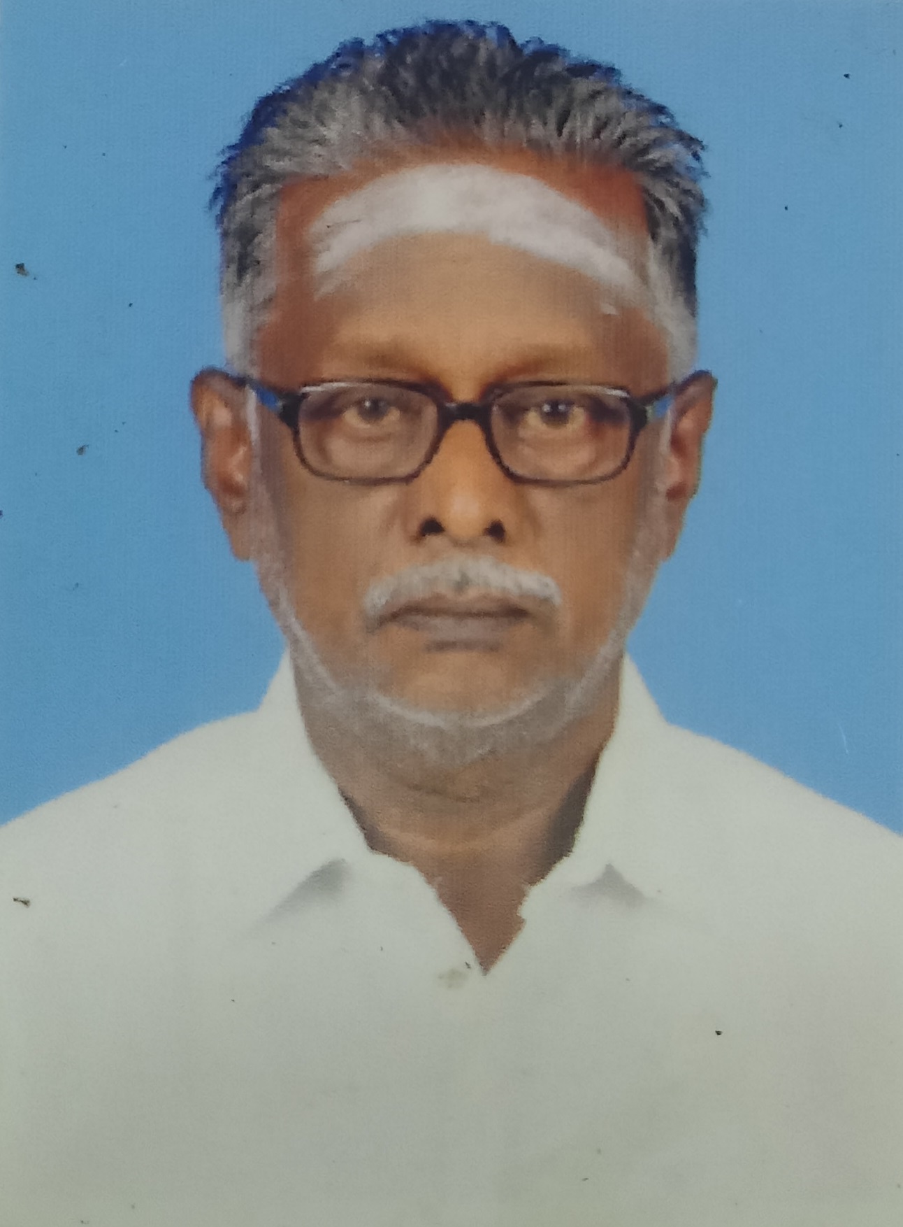 Trader Photo