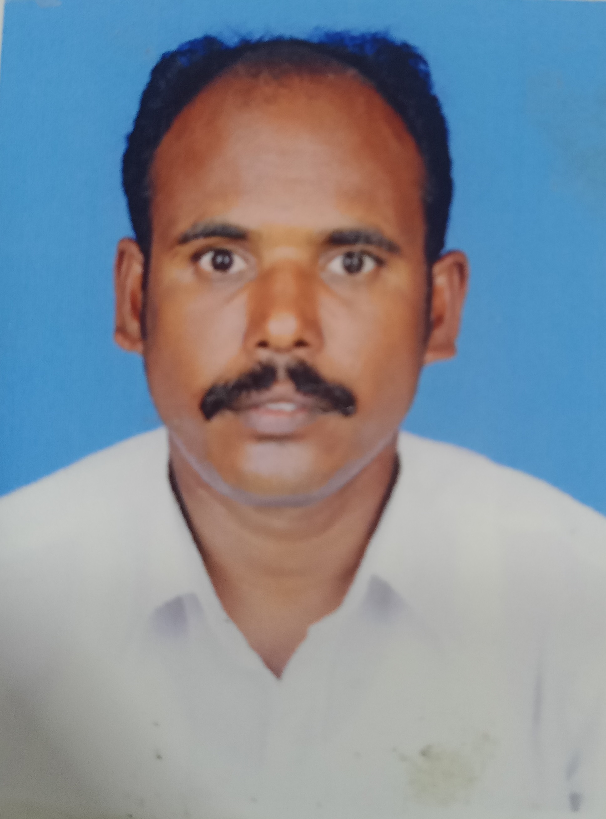 Trader Photo