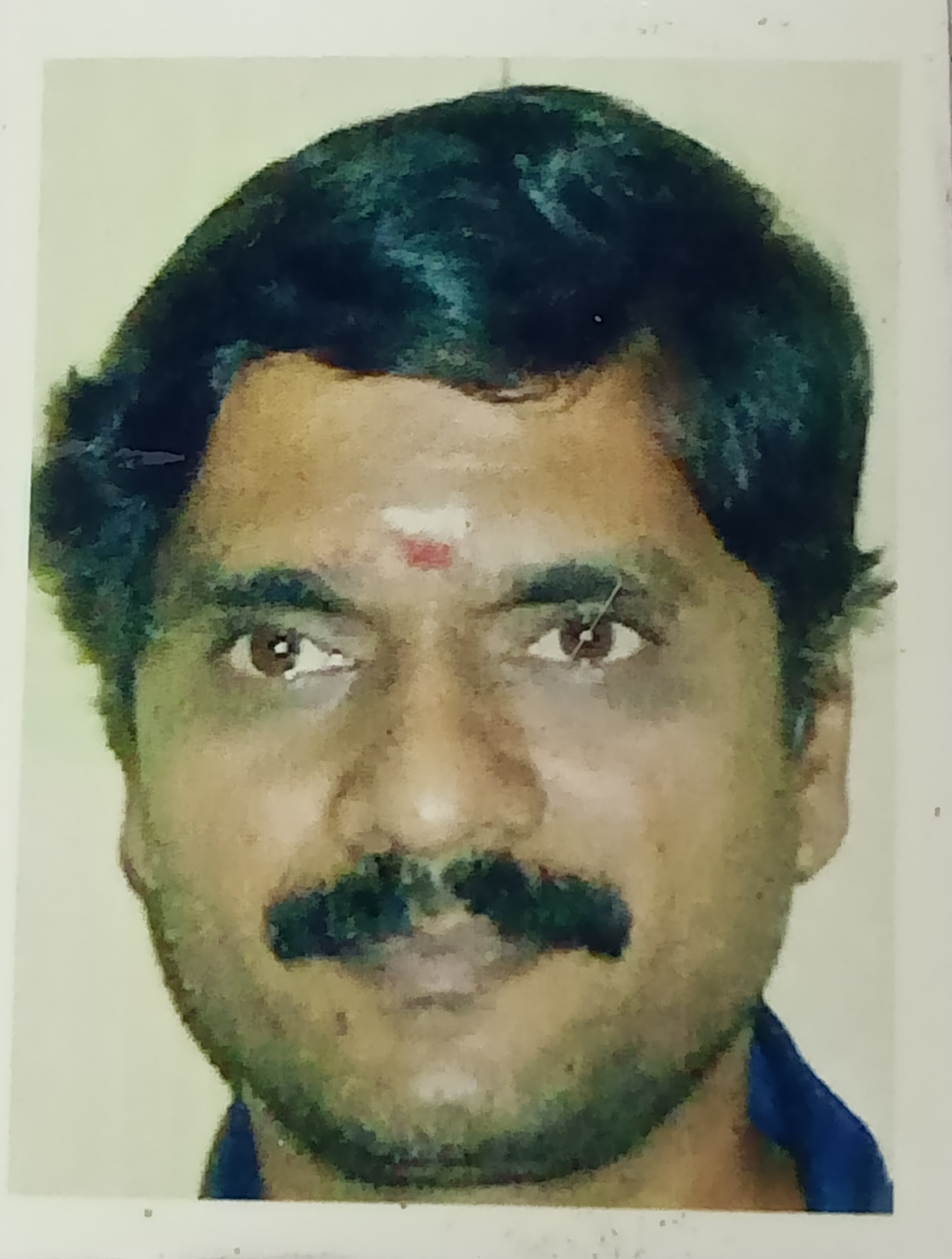 Trader Photo