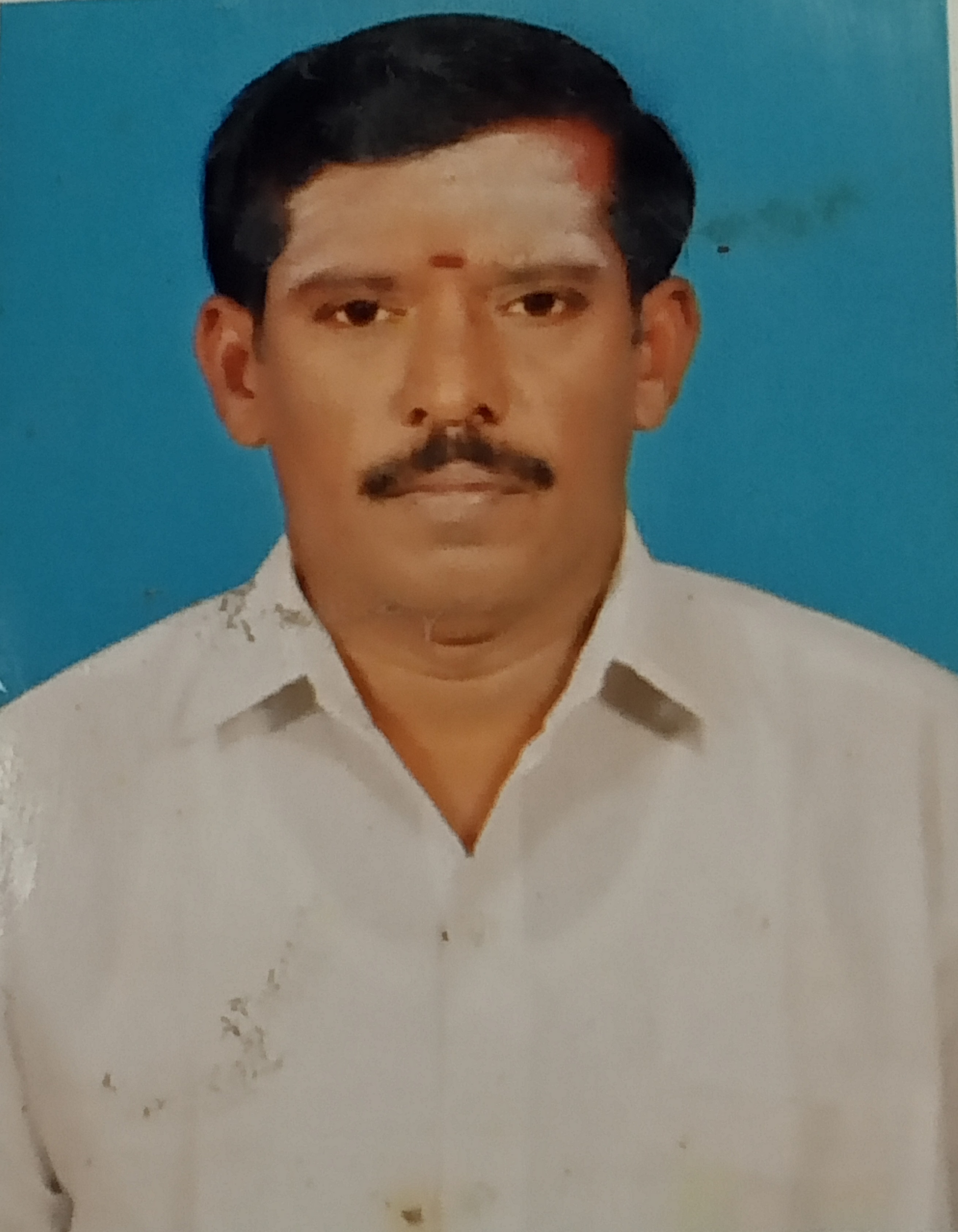 Trader Photo